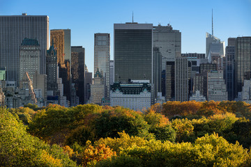Late autumn afternoon and colorful Central Park fall foliage with Midtown Manhattan skyscrapers. New York City