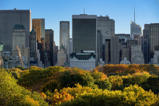 Late autumn afternoon and colorful Central Park fall foliage with Midtown Manhattan skyscrapers. New York City