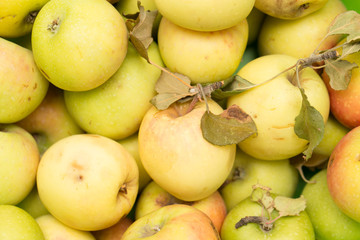 Apples as background