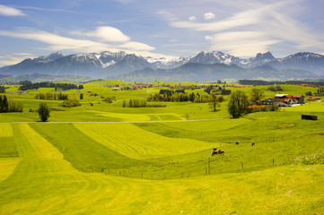 Obraz premium Alpen Panorama in Bayern im Allgäu