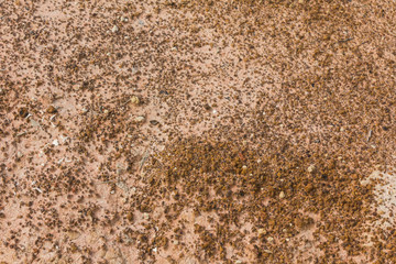 gravel
