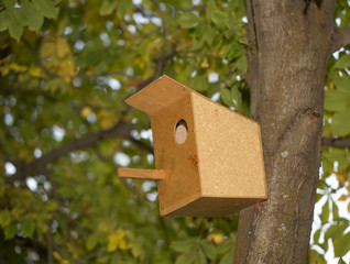 bird-house on a tree