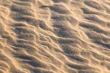 sand in nature as a background