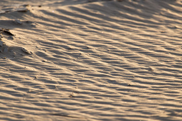 sand in nature as a background