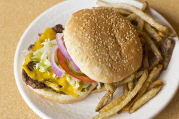 Cheeseburger Home made Fries