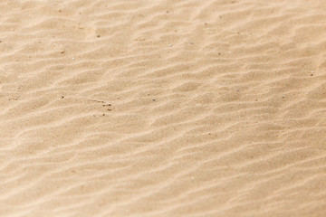 Fototapeta na wymiar sand in nature as a background