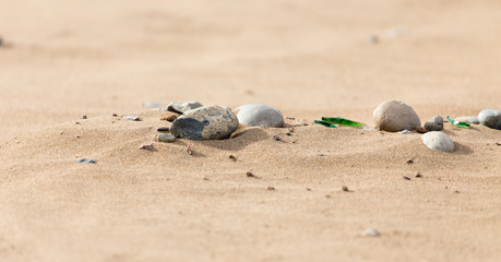 Stones in the sand