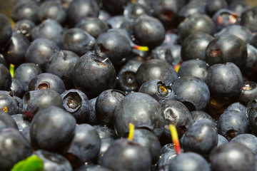 background sprinkled ripe blueberries close up