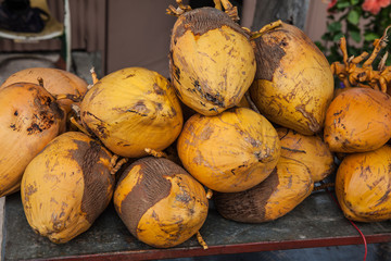Mauritius - Frische Kokosnüsse