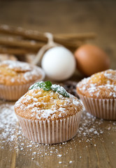 Homemade muffins with star anise, cinnamon and mint