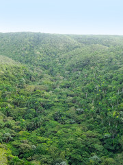 Fototapeta premium around Vinales Valley in Cuba