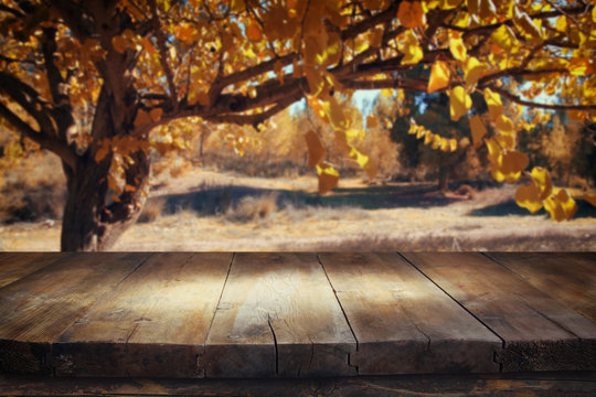 vintage wooden board table in front of meadow landscape with lens flare.
