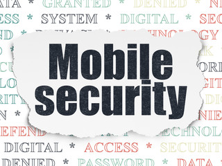Fototapeta premium Privacy concept: Mobile Security on Torn Paper background