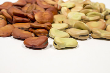 Dry seeds of broad bean of different colors, with blank space at bottom