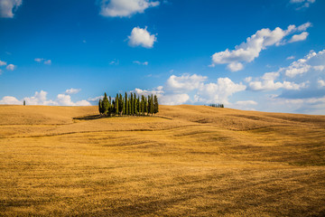 Golden Tuscany landscape with rolling hills and cypress trees, Val d'Orcia, Italy
