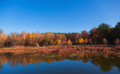 Autumn landscape with reflection in the river.