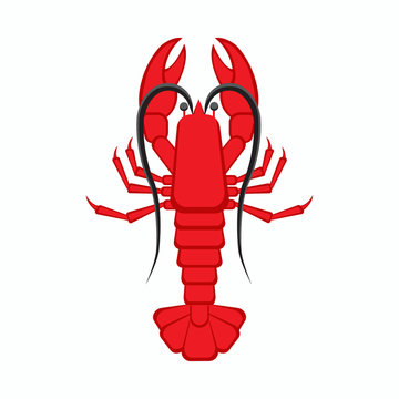 Image of crayfish on a white background