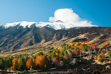 Beech trees on the northern side of Mount Etna and the snowy peak © siculodoc