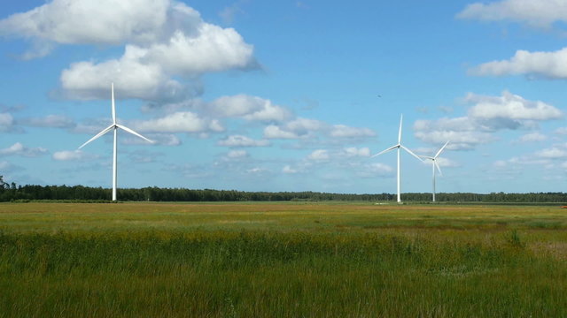 Wind Turbines in the fields, white Wildmill 