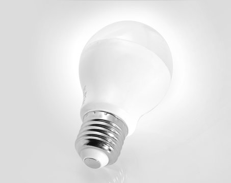 Light bulb/Light bulb on gray background.
