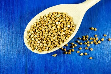 Buckwheat seeds in wooden spoon isolated