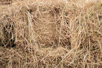 Straw textured.