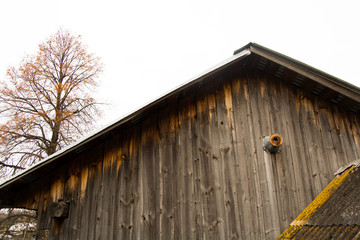 house and nesting box