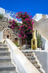 Colorful quiet backyard with beautiful flowers and classic traditional architecture in Santorini