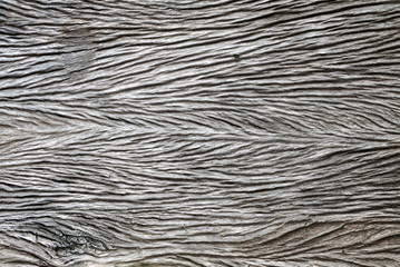Old wood texture background