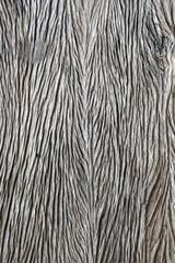Old wood texture background