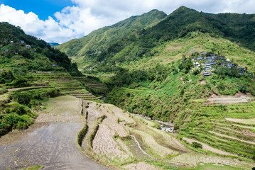 Rice terraces near Cambulo Villages (Cordilleres, Philippines) / Reisterassen bei Cambulo...