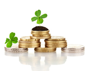 Clover leaf growing out on coins isolated on white