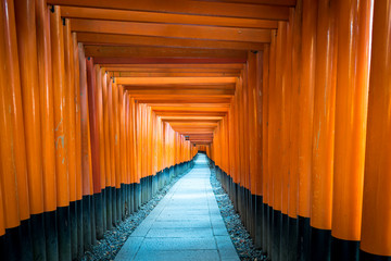 Path of oranges japanese gates in a temple in Kyoto