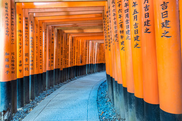 Path of oranges japanese gates in a temple in Kyoto