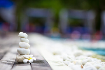 White balanced stones and white plumeria near swimming pool outdoors
