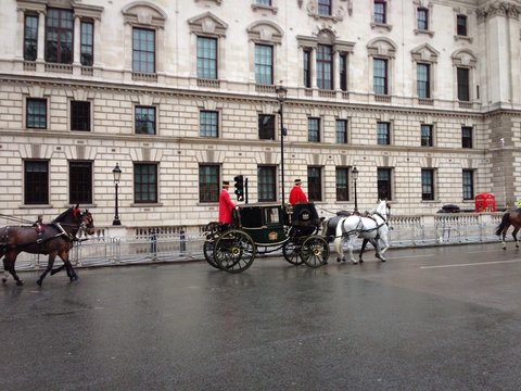Parata si carrozze e cavalli a Londra