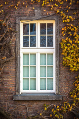 Autumn window in a Gothic building as background