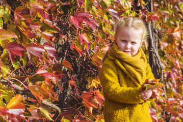 Autumn leaves as a background for a portrait for a little girl.
