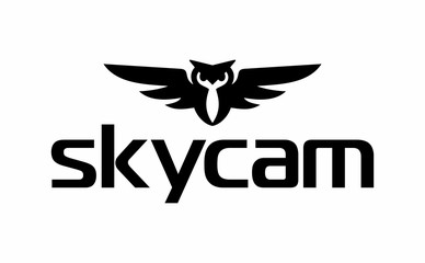 Sky cam bird owl logo icon