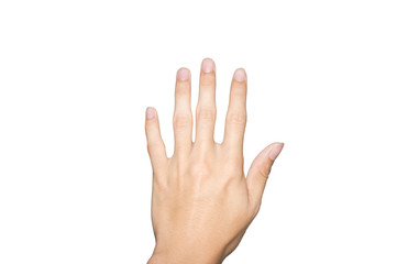 Obraz premium Hand on white background