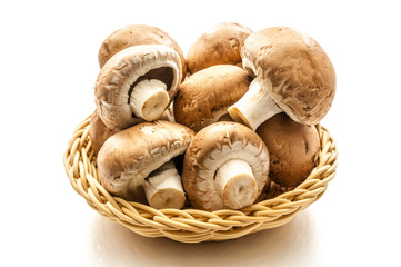Brauner Bio Champignon 