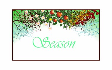 Fototapeta premium Four seasons.Apple tree,all year round.