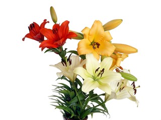 Obraz na płótnie Canvas posy of multicolor lilies close up