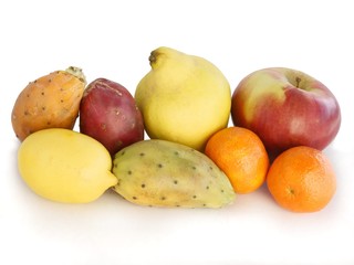 multicolor,various fruits