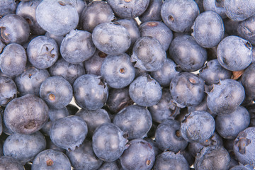 Freshly picked group of blueberries as background