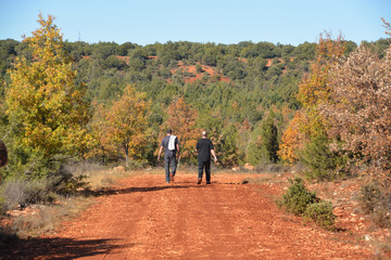 Fototapeta premium caminando por el campo en otoño