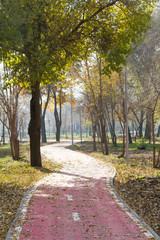 Fototapeta premium bike lane