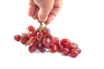 Hand and red grapes on white background