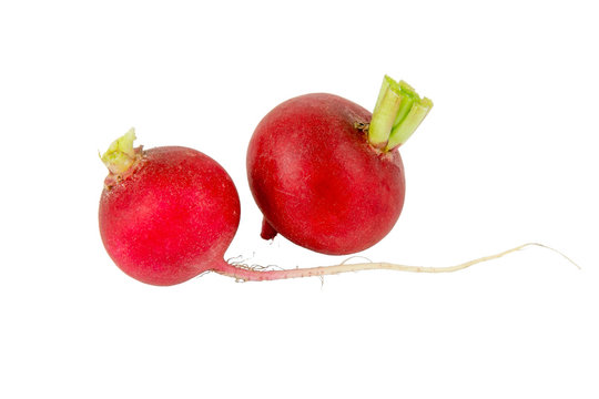 Radish isolated on a white background. Salad ingredient. Isolated food series.