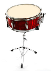 Fototapeta na wymiar Red drum isolated on white background
